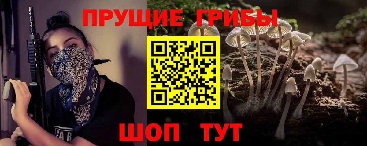 Галлюциногенные грибы ЛСД  где купить наркоту  Ярославль  Псилоцибиновые грибы GOLDEN TEACHER  Вход с VPN 
