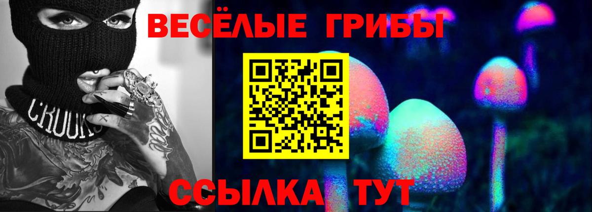 Псилоцибиновые грибы прущие грибы Ярославль